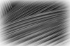 Patterns from Palms